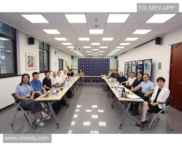 上海羽毛球队整体压制现象解析及其对比赛格局的影响